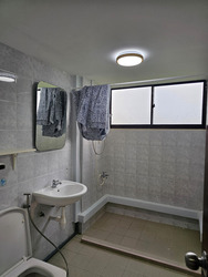 Lakeview Estate (D20), Apartment #447367811